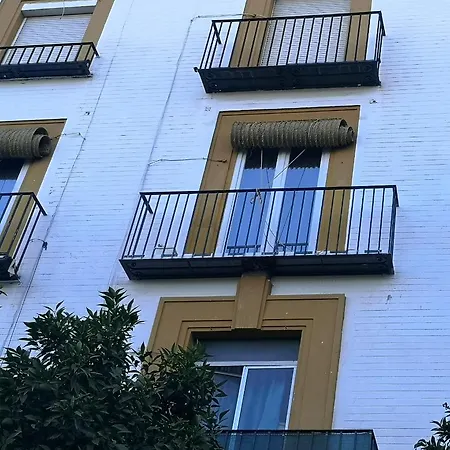 Betis Del Oro Sevilla